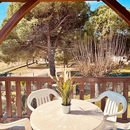 Ianthi Sykia Chalkidikis